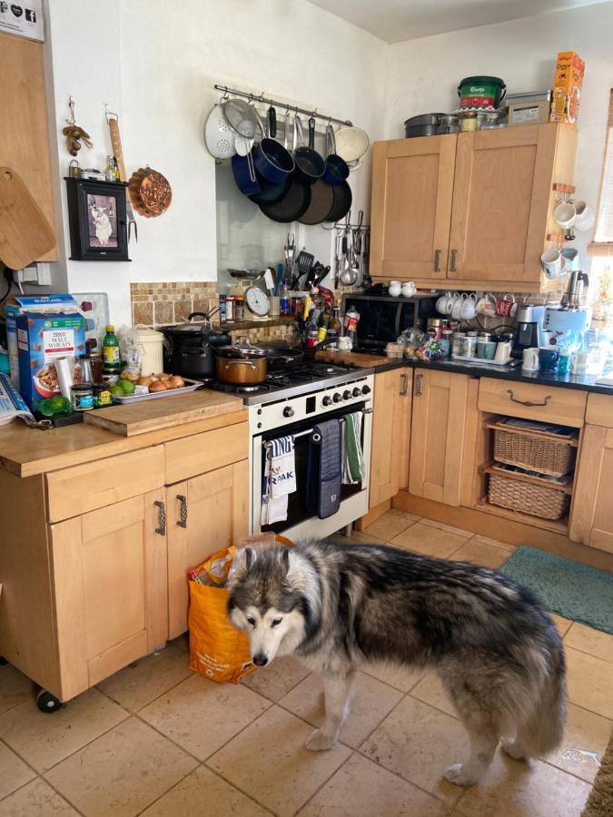 Comfy Cosy Little Room Tv Fridge Microwave Upton  Екстериор снимка